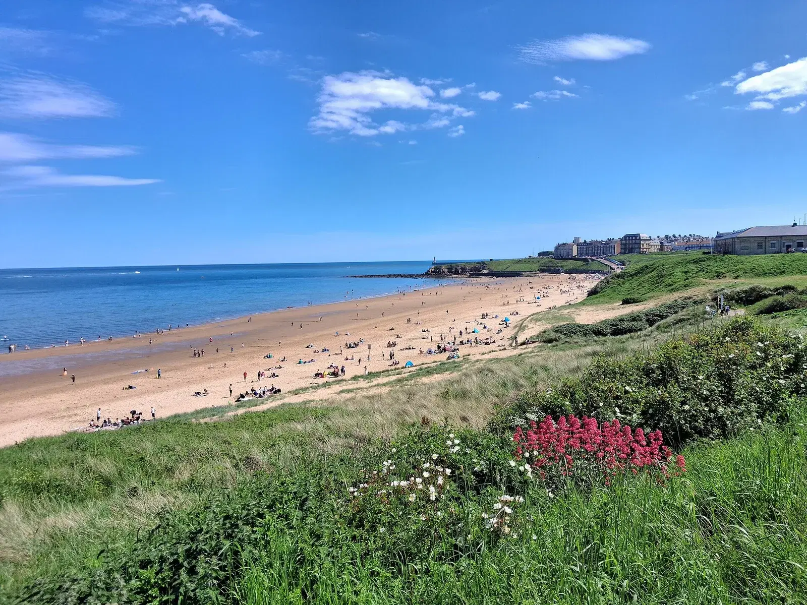 Family Activities in Tynemouth: Days Out with the Kids